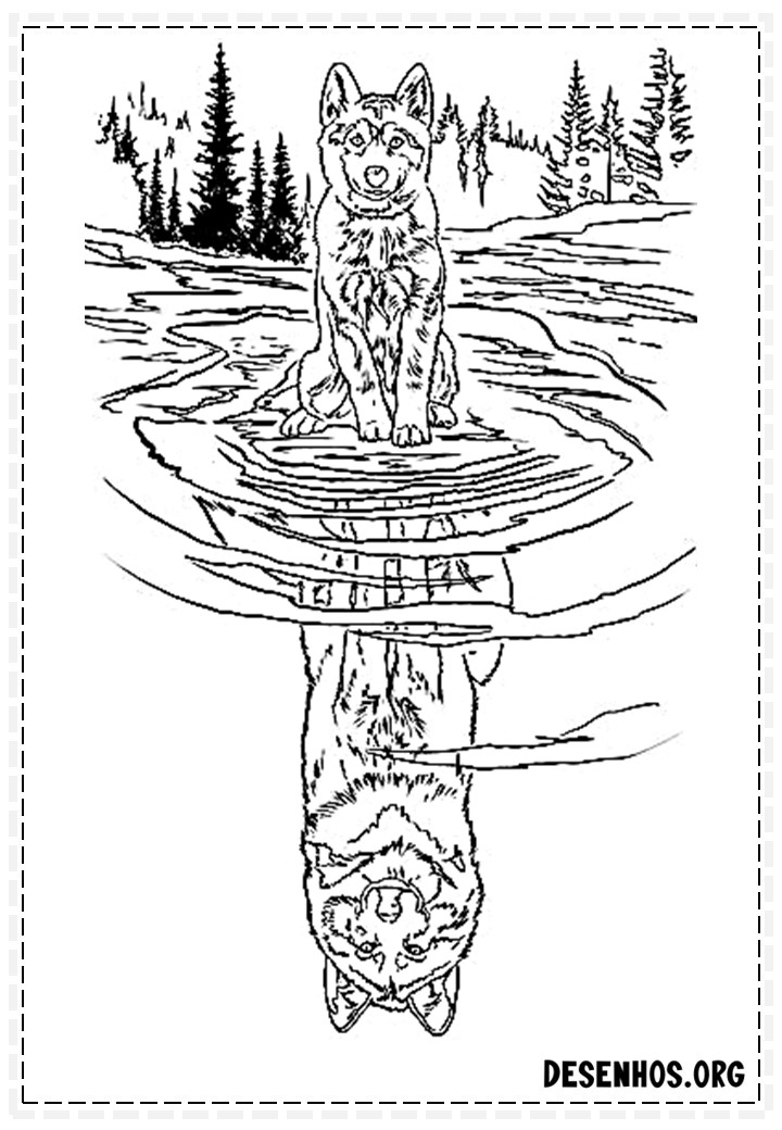 desenhos de lobo 19