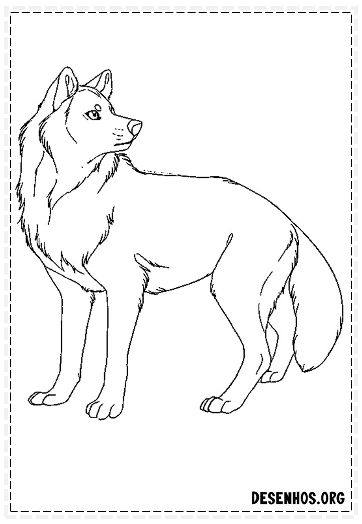 desenhos de lobo 23