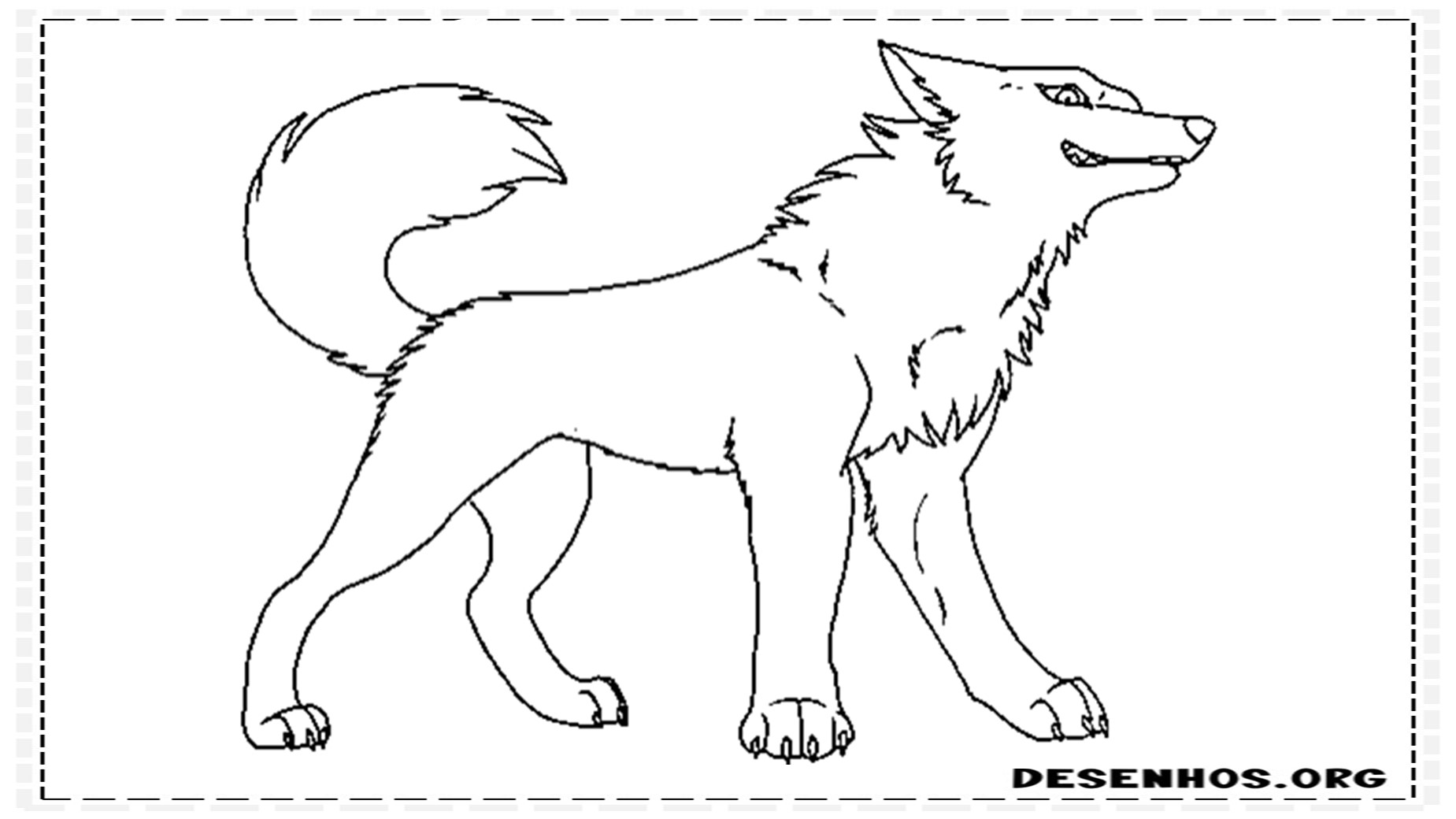 desenhos de lobo 5
