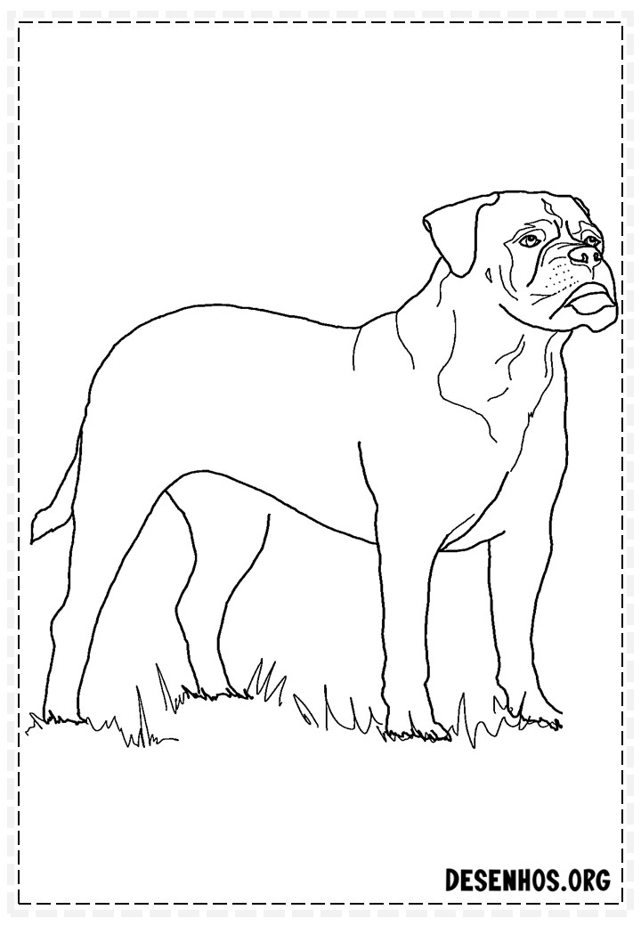 desenhos de cachorros 108