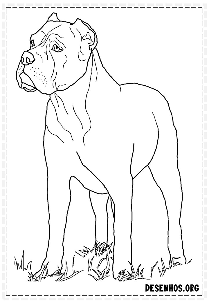 desenhos de cachorros 111