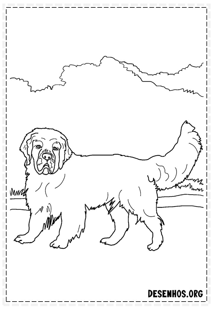 desenhos de cachorros 119 desenhos de cachorros 119