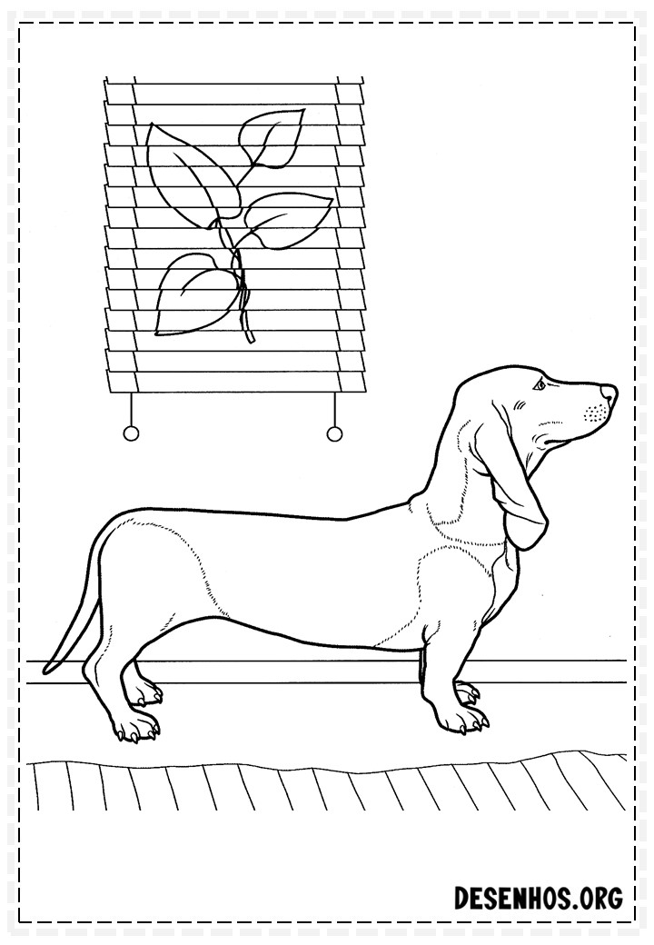 desenhos de cachorros 152