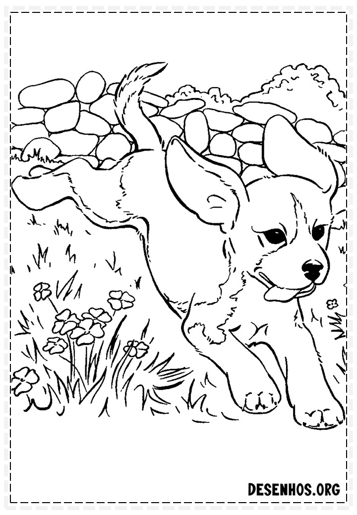 desenhos de cachorros 185 desenhos de cachorros 185