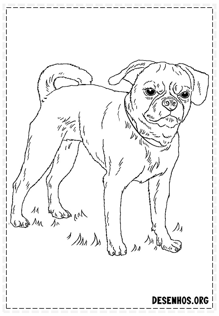 desenhos de cachorros 317