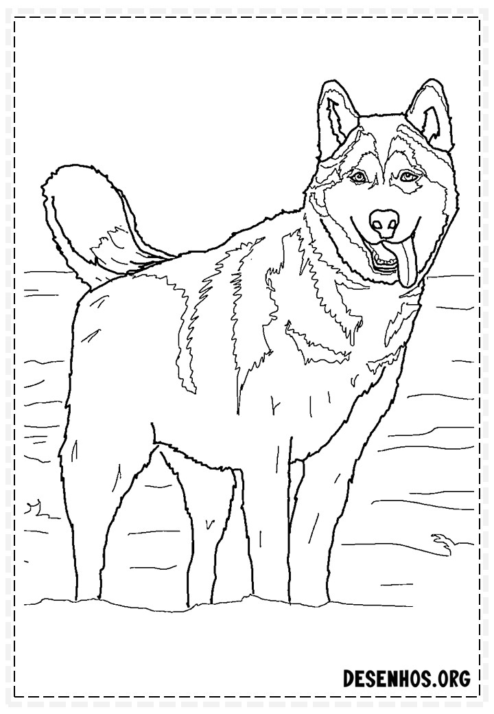 desenhos de cachorros 332