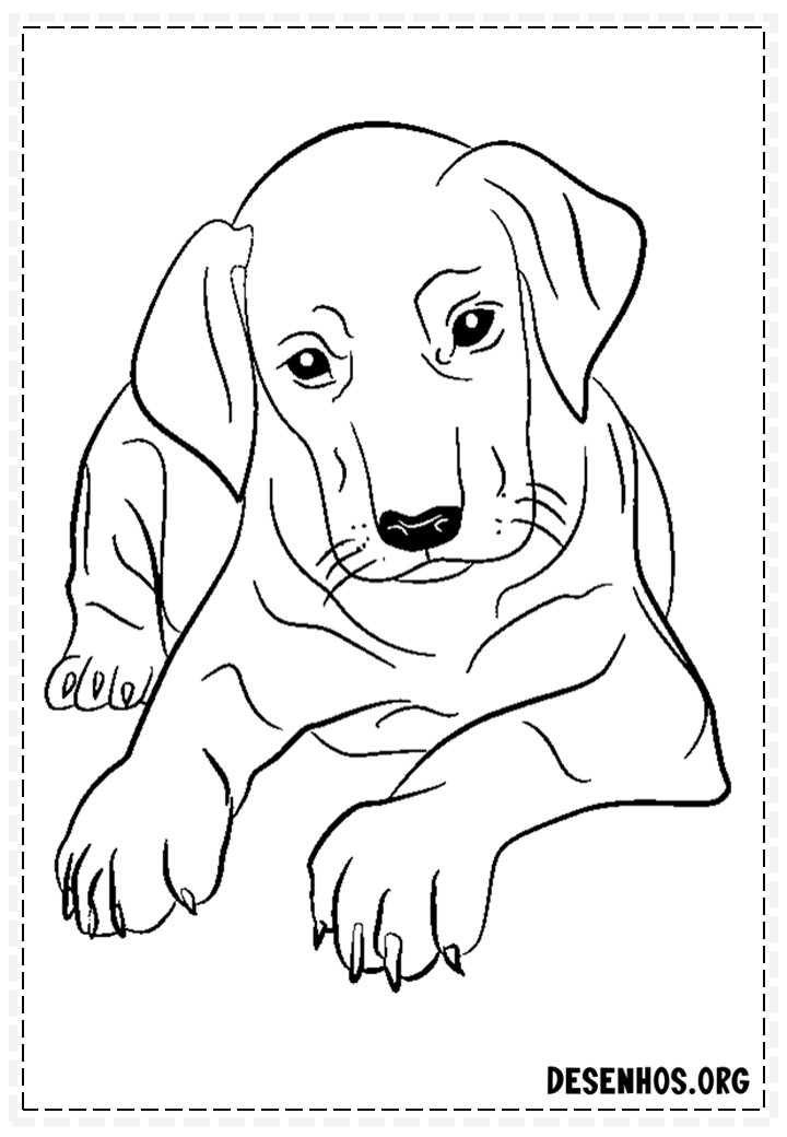 desenhos de cachorros 334 desenhos de cachorros 334