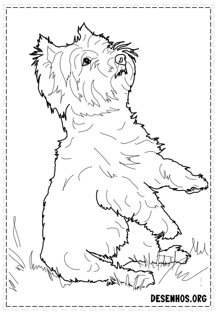 desenhos de cachorros 336