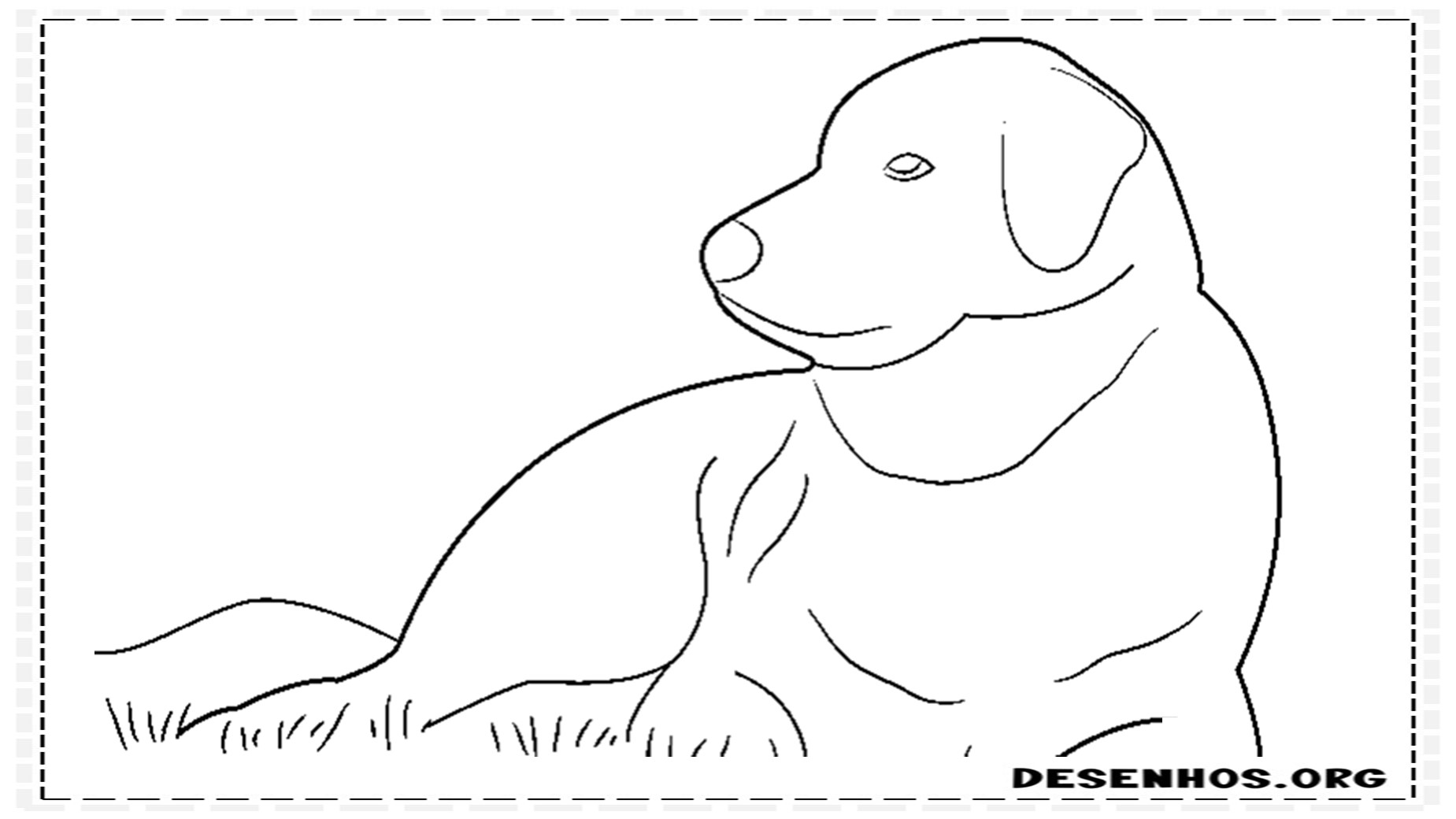 desenhos de cachorros 37