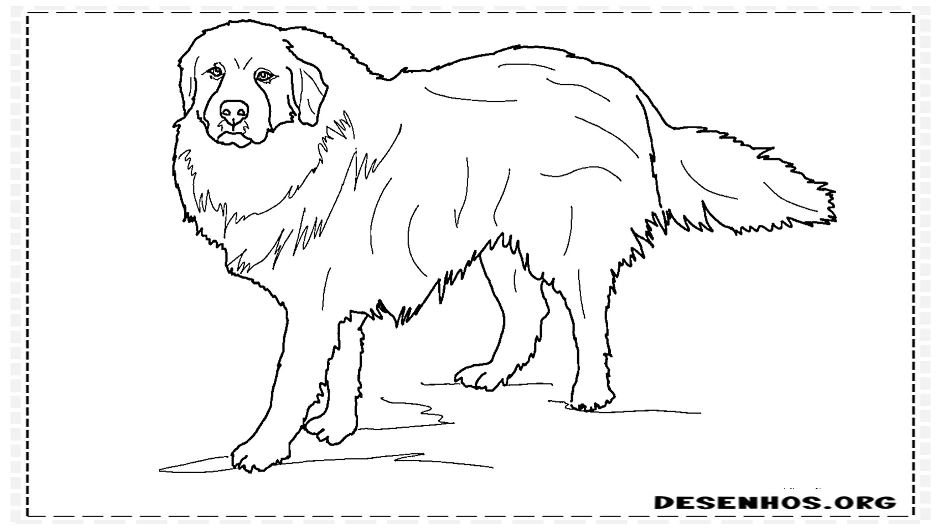 desenhos de cachorros 38