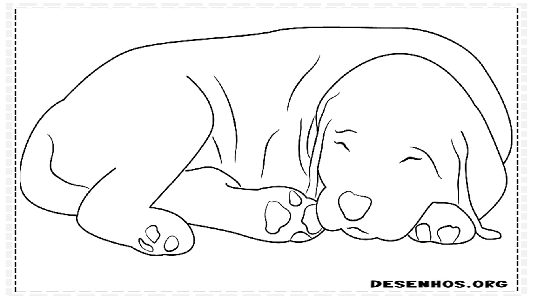 desenhos de cachorros 39