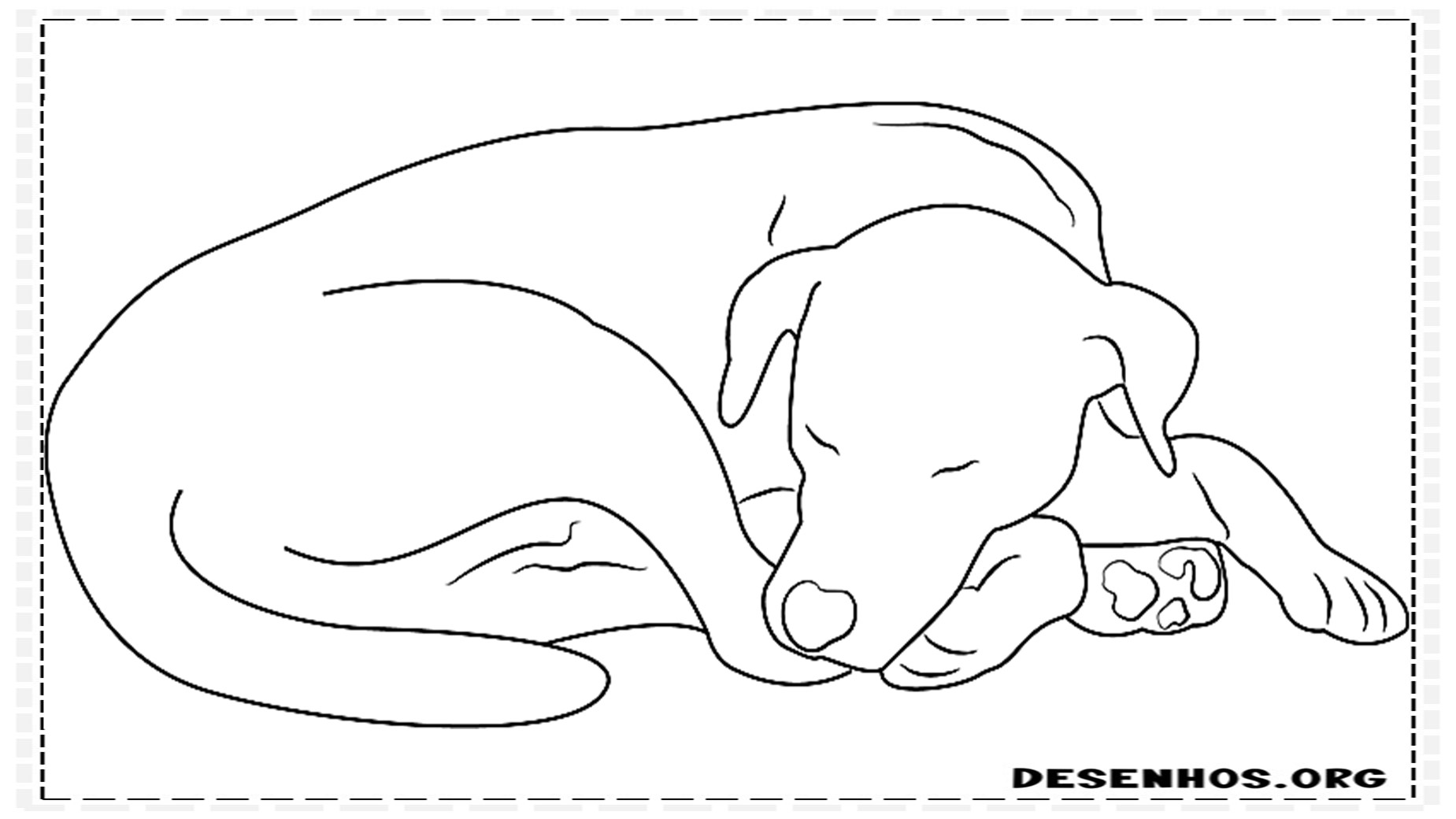 desenhos de cachorros 41