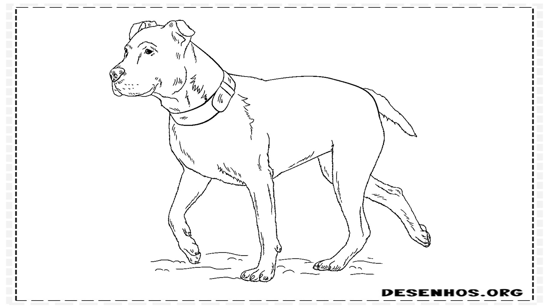 desenhos de cachorros 43 desenhos de cachorros 43