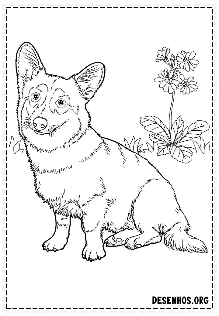 desenhos de cachorros 74