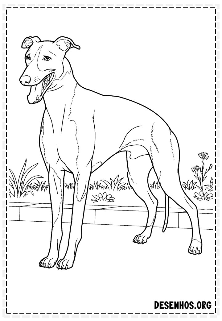 desenhos de cachorros 76
