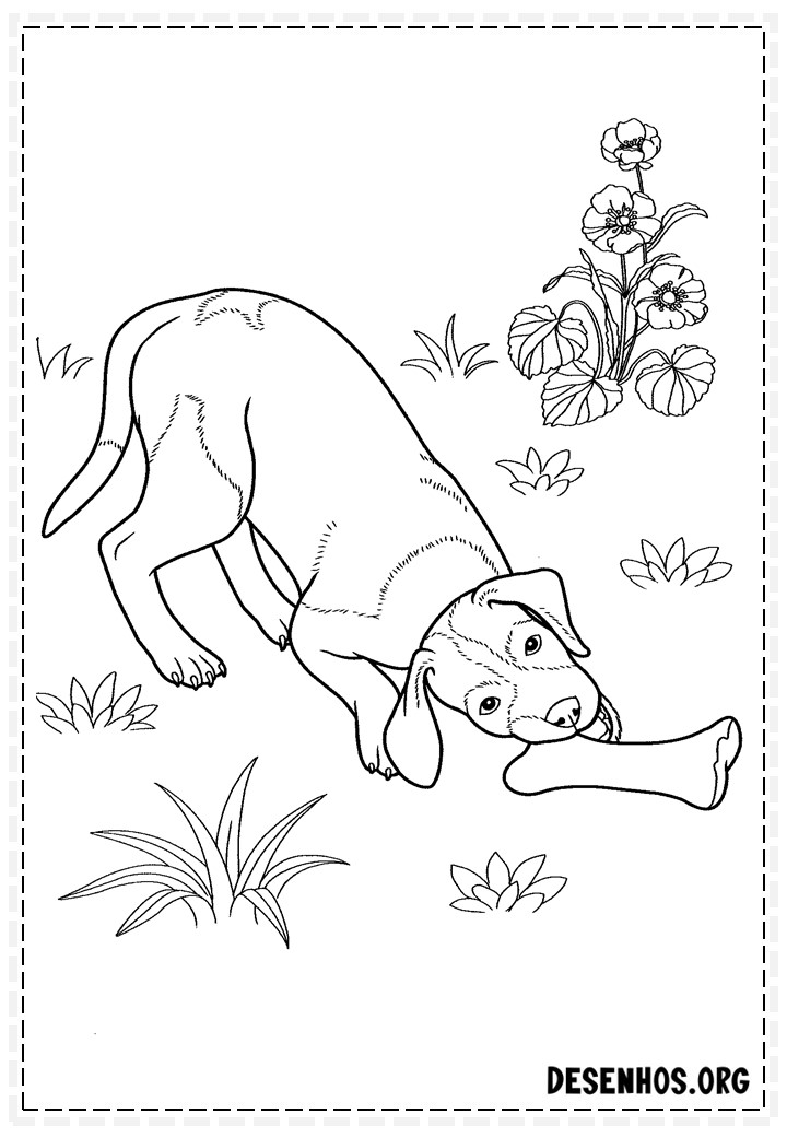 desenhos de cachorros 79