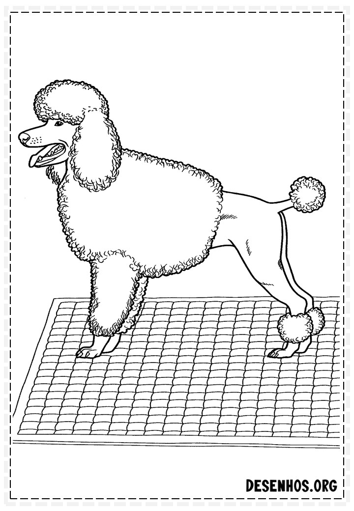 desenhos de cachorros 80