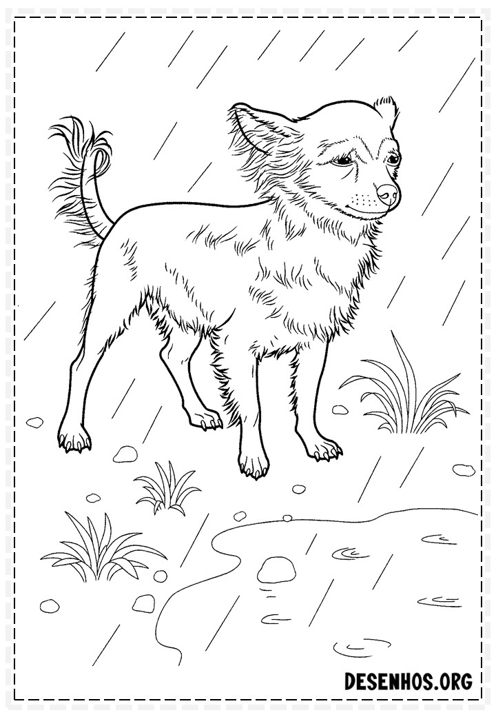 desenhos de cachorros 83 desenhos de cachorros 83