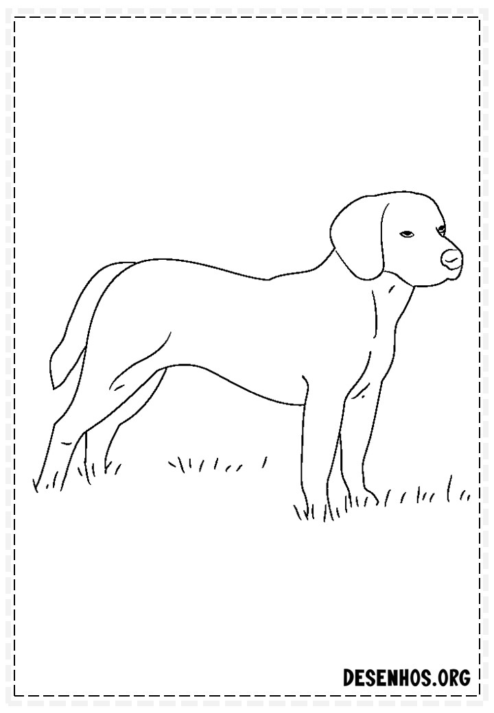 desenhos de cachorros 94 desenhos de cachorros 94