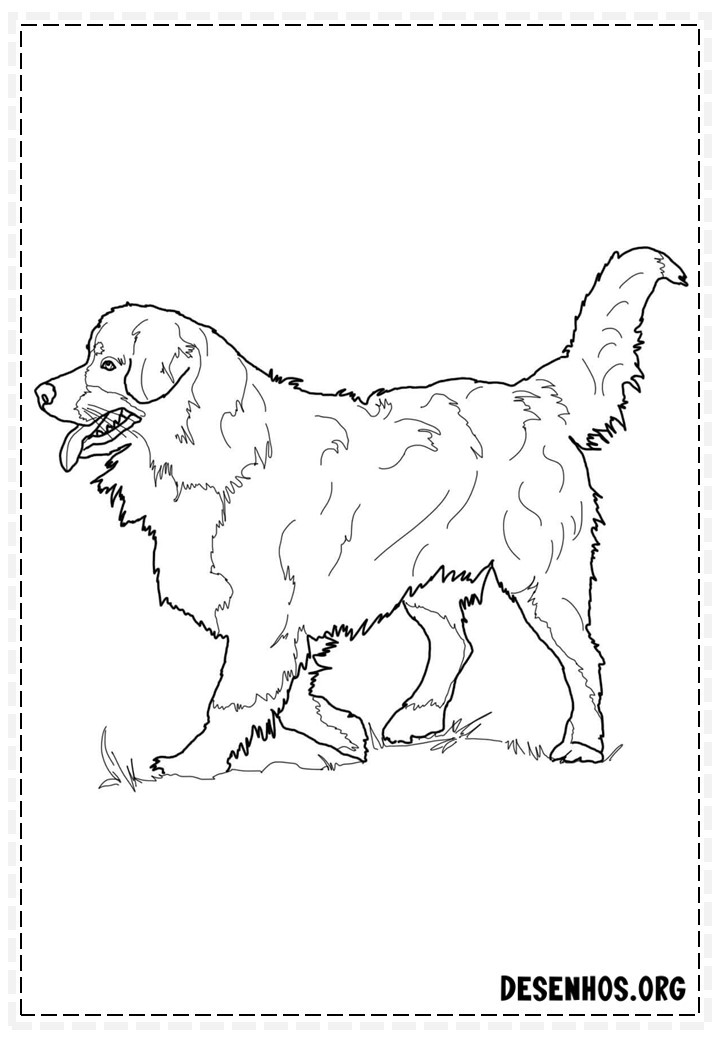 desenhos de cachorros 96 desenhos de cachorros 96