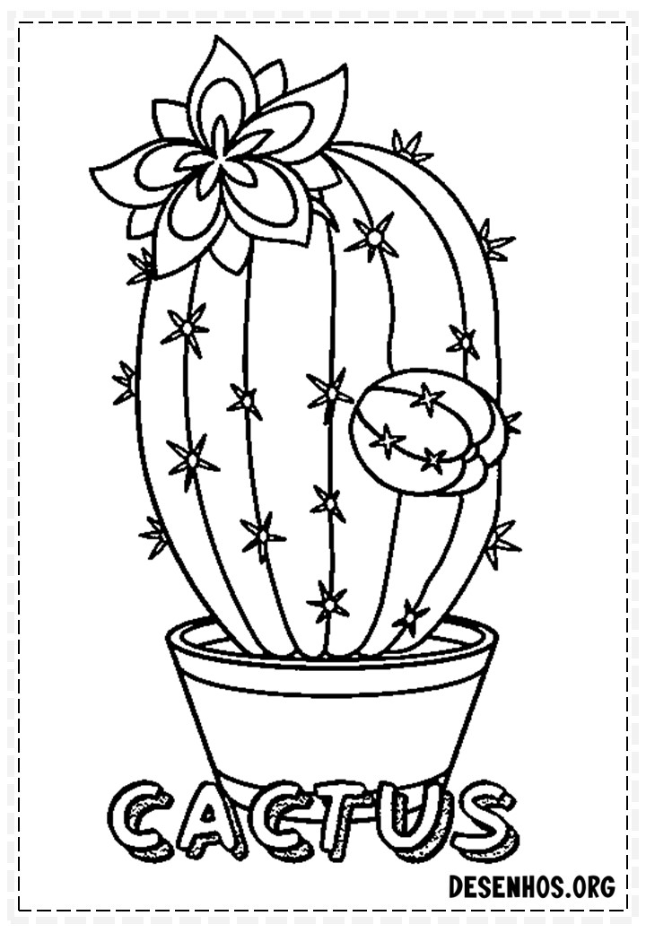 Cactos fofos 27