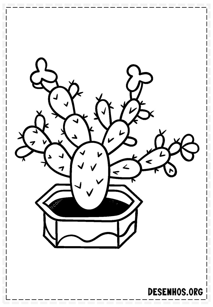 Cactos fofos 34