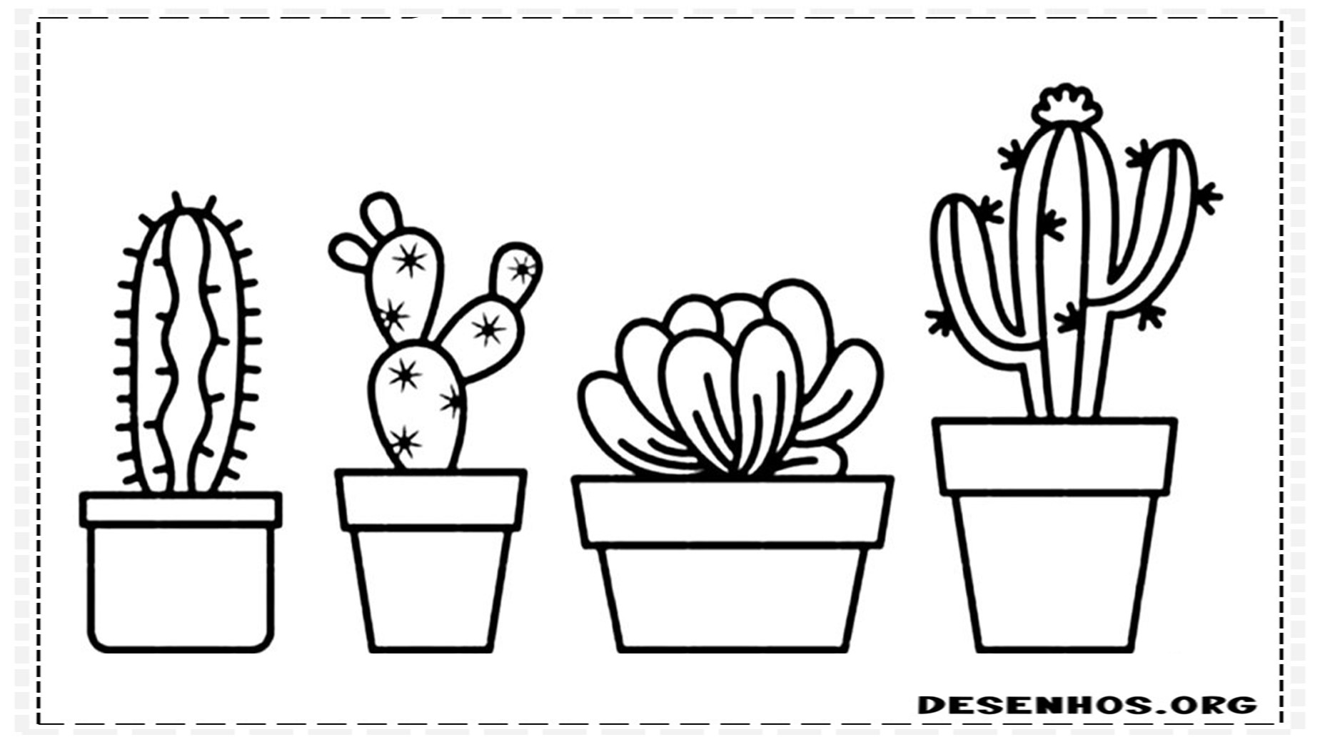 Cactos fofos 4