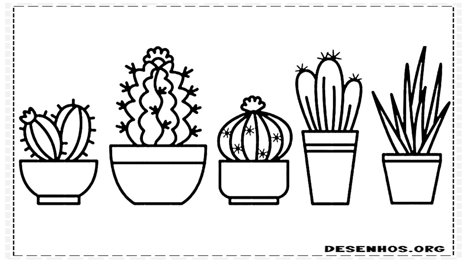 Cactos fofos 5