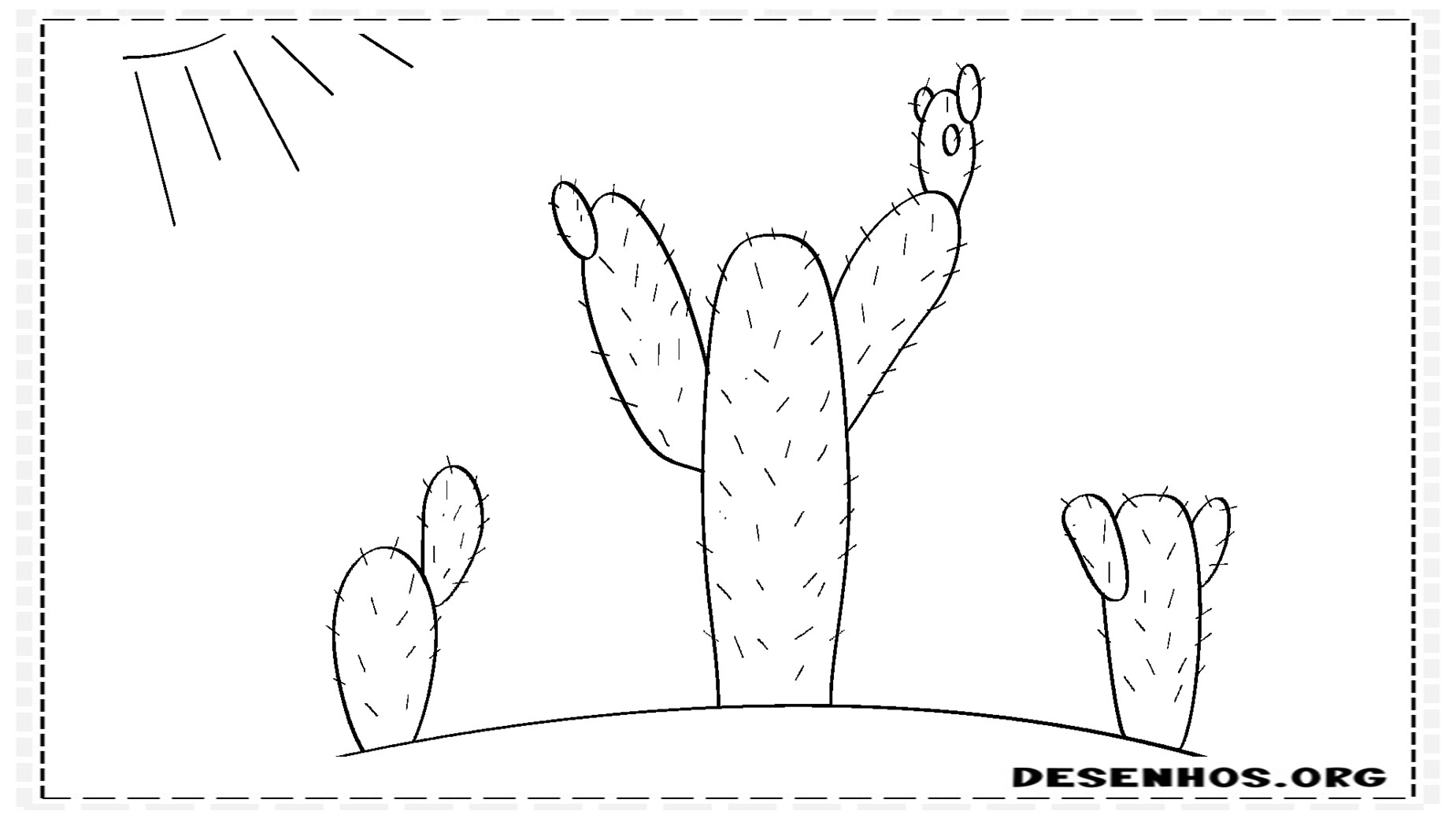 Cactos fofos 6
