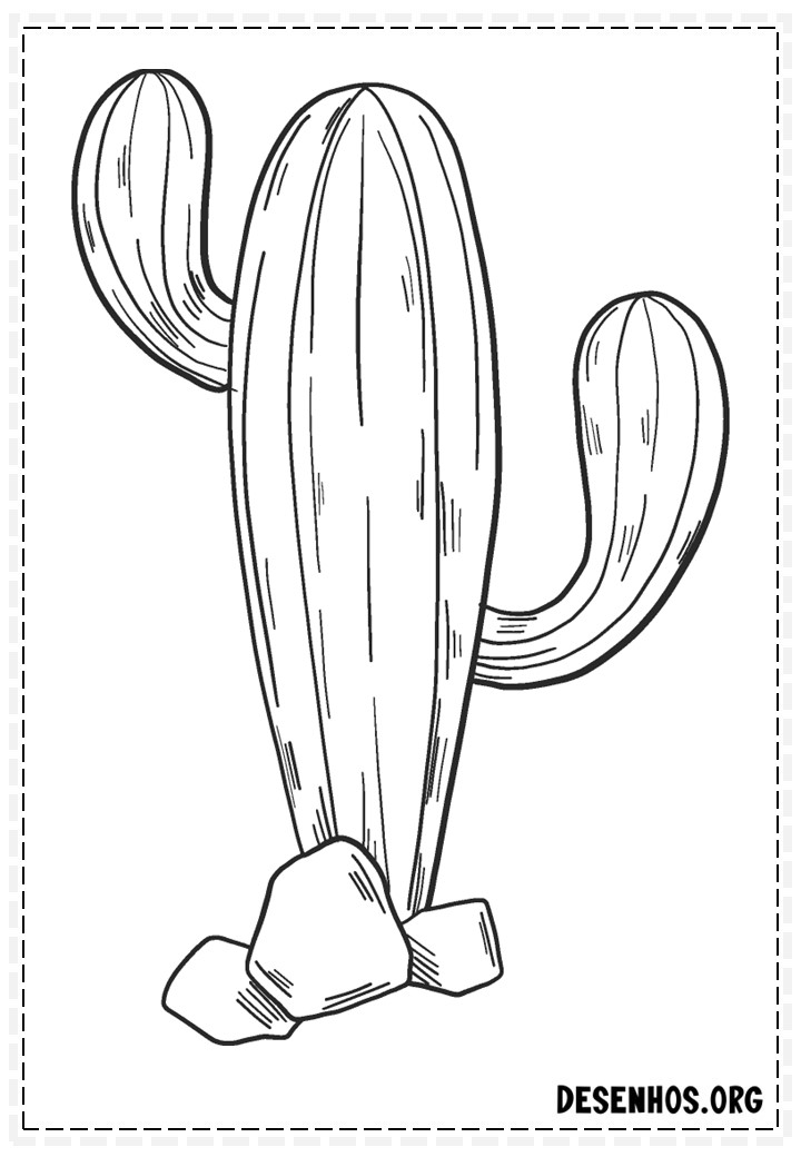220 desenhos de cactos para colorir