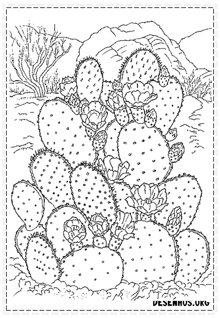 desenhos de cactos para colorir 102