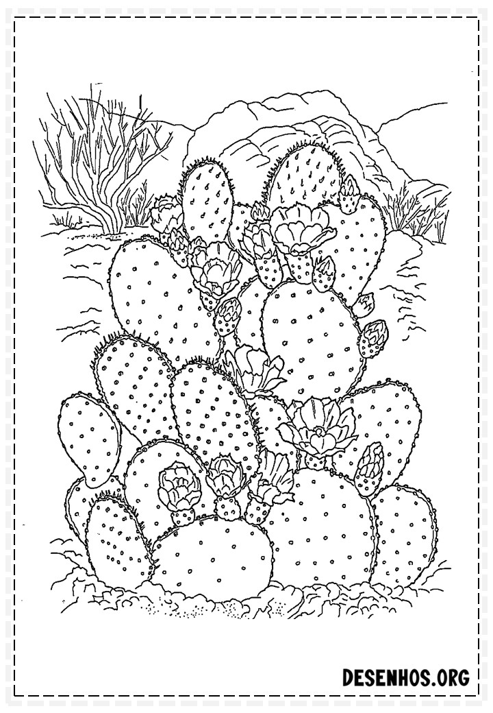 desenhos de cactos para colorir 121