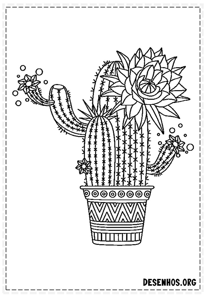 desenhos de cactos para colorir 132
