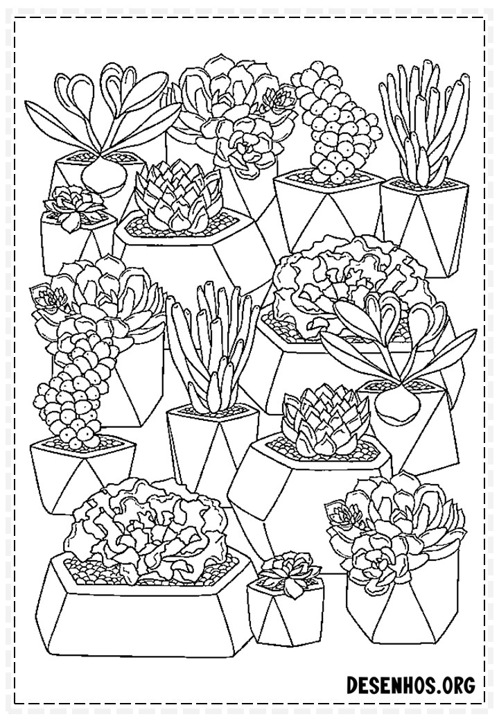 desenhos de cactos para colorir 136