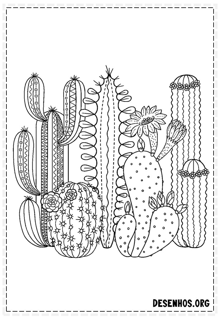desenhos de cactos para colorir 137