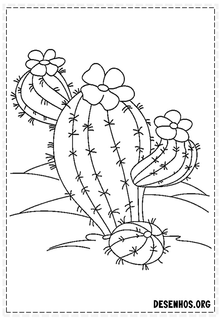 desenhos de cactos para colorir 19