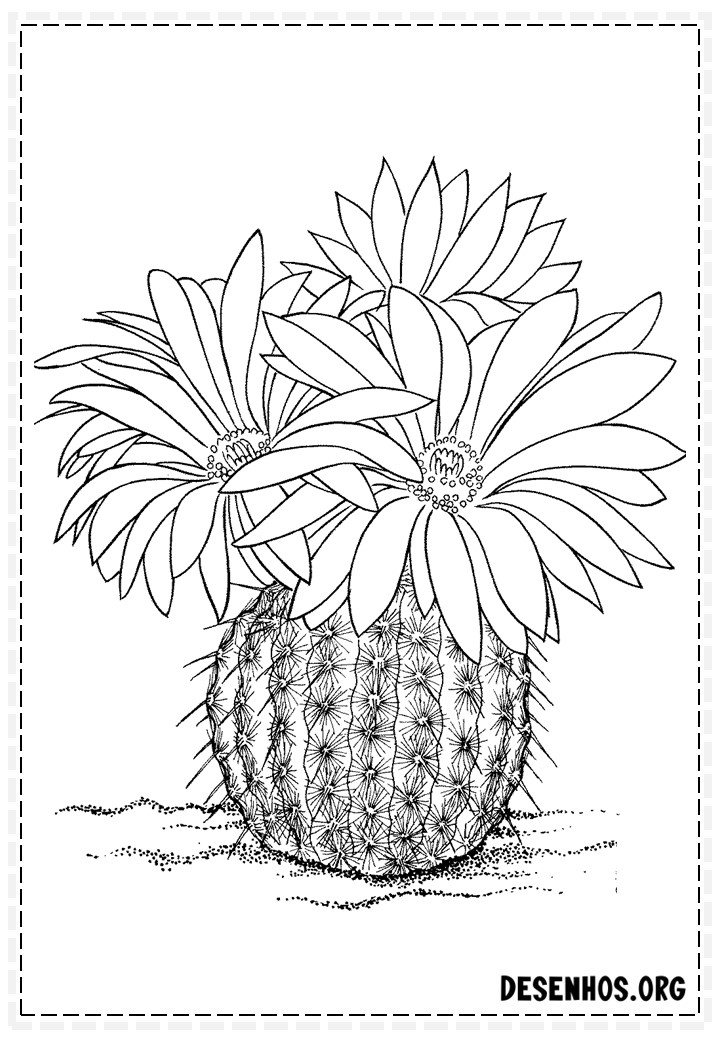 desenhos de cactos para colorir 52