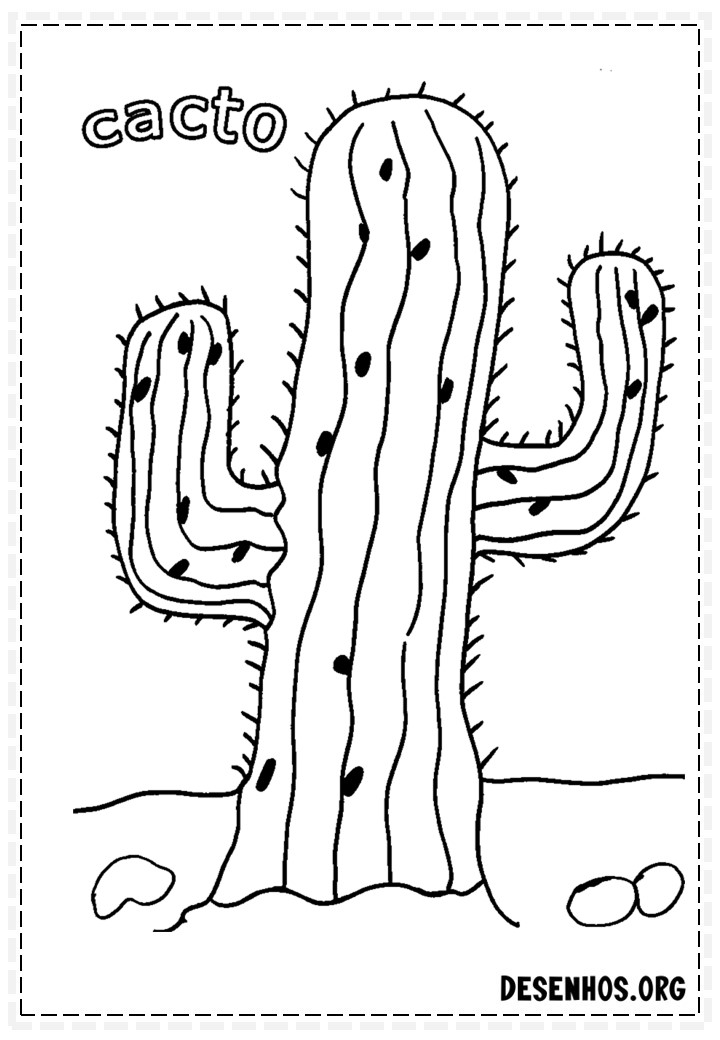 desenhos de cactos para colorir 82