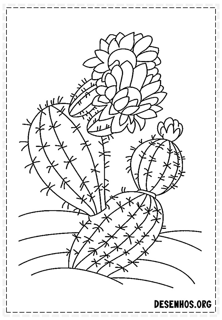 desenhos de cactos para colorir 96