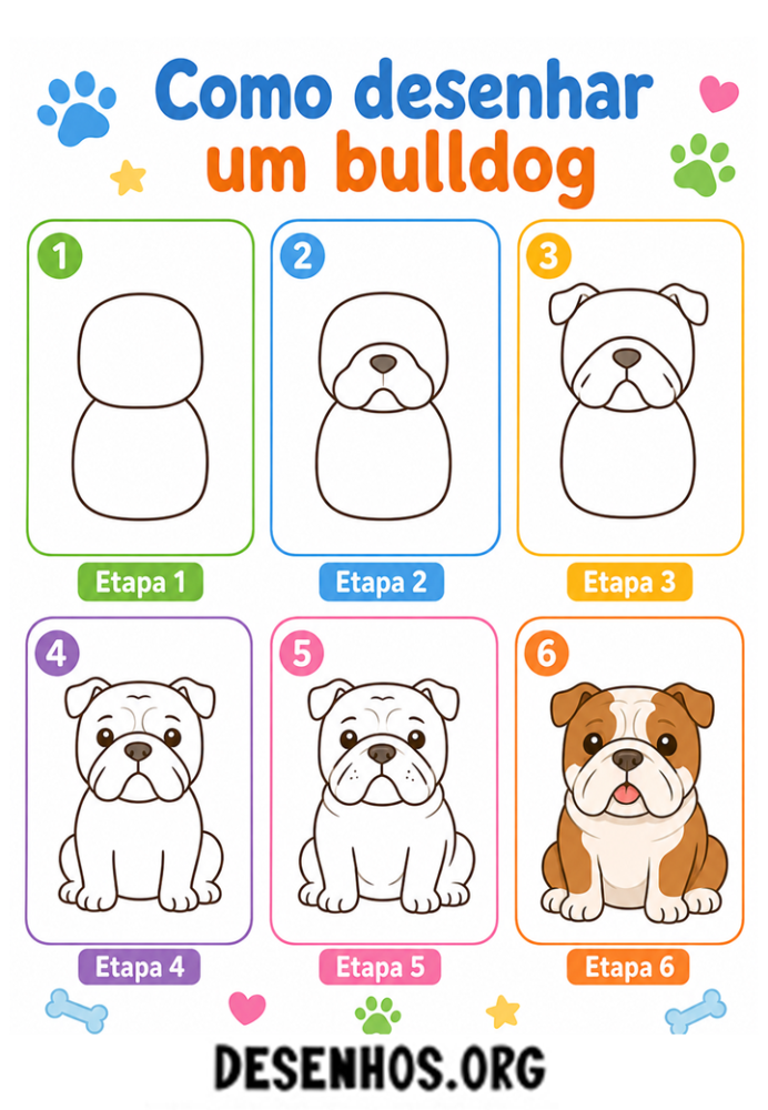 como desenhar um bulldog